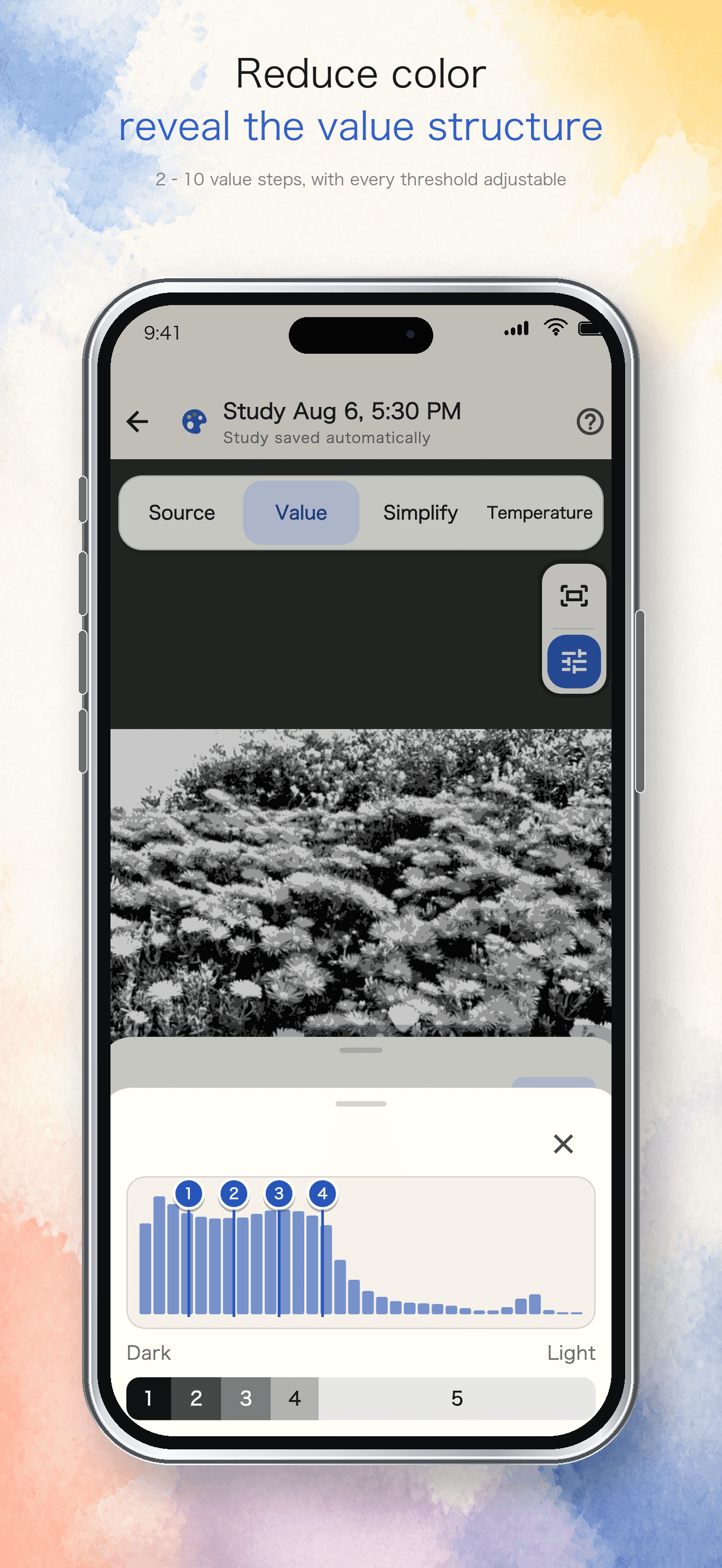 PainterLab value view with a grayscale image and adjustable histogram